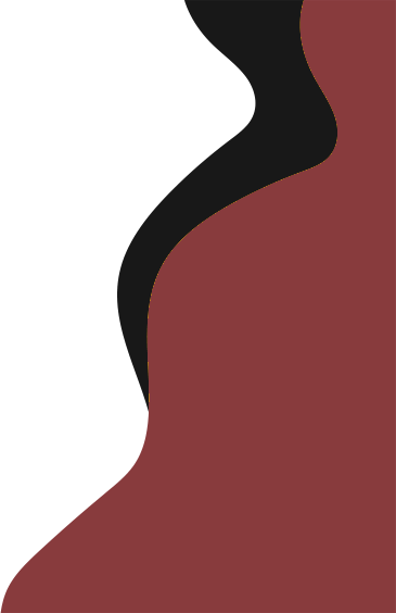 final-video-bg-shape-transparent